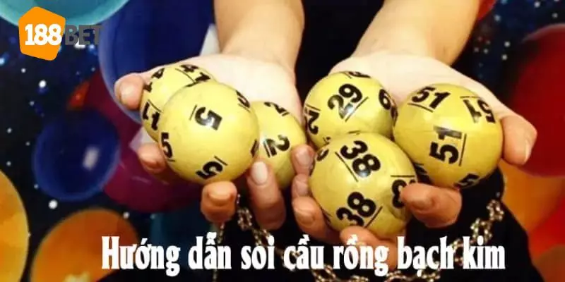 Dùng lô gan để nuôi dàn đề rồng bạch kim