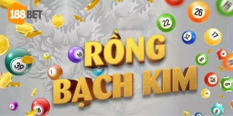 Nuôi đề rồng bạch kim bằng bạc nhớ