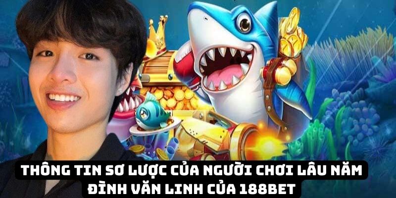 Sơ lược về Đình Văn Linh của 188BET Sơ lược về Đình Văn Linh của 188BET