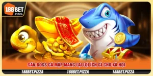 boss cá mập