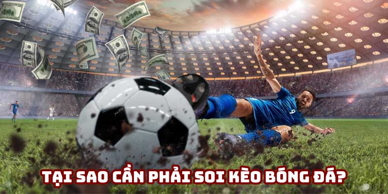 Tầm quan trọng to lớn của soi kèo bóng đá đem lại cho người chơi
